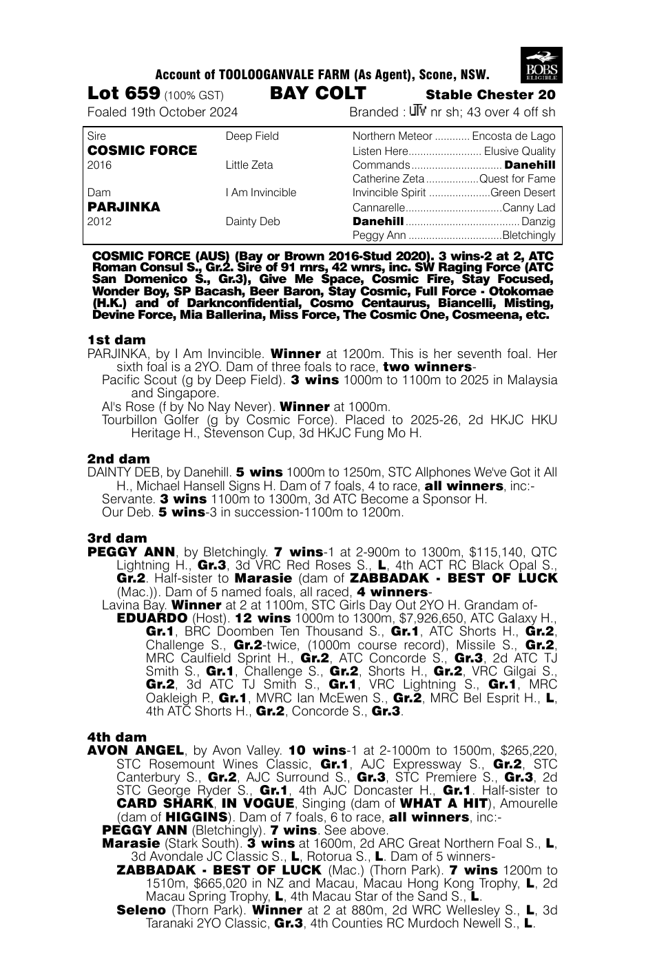 Pedigree - Lot 659