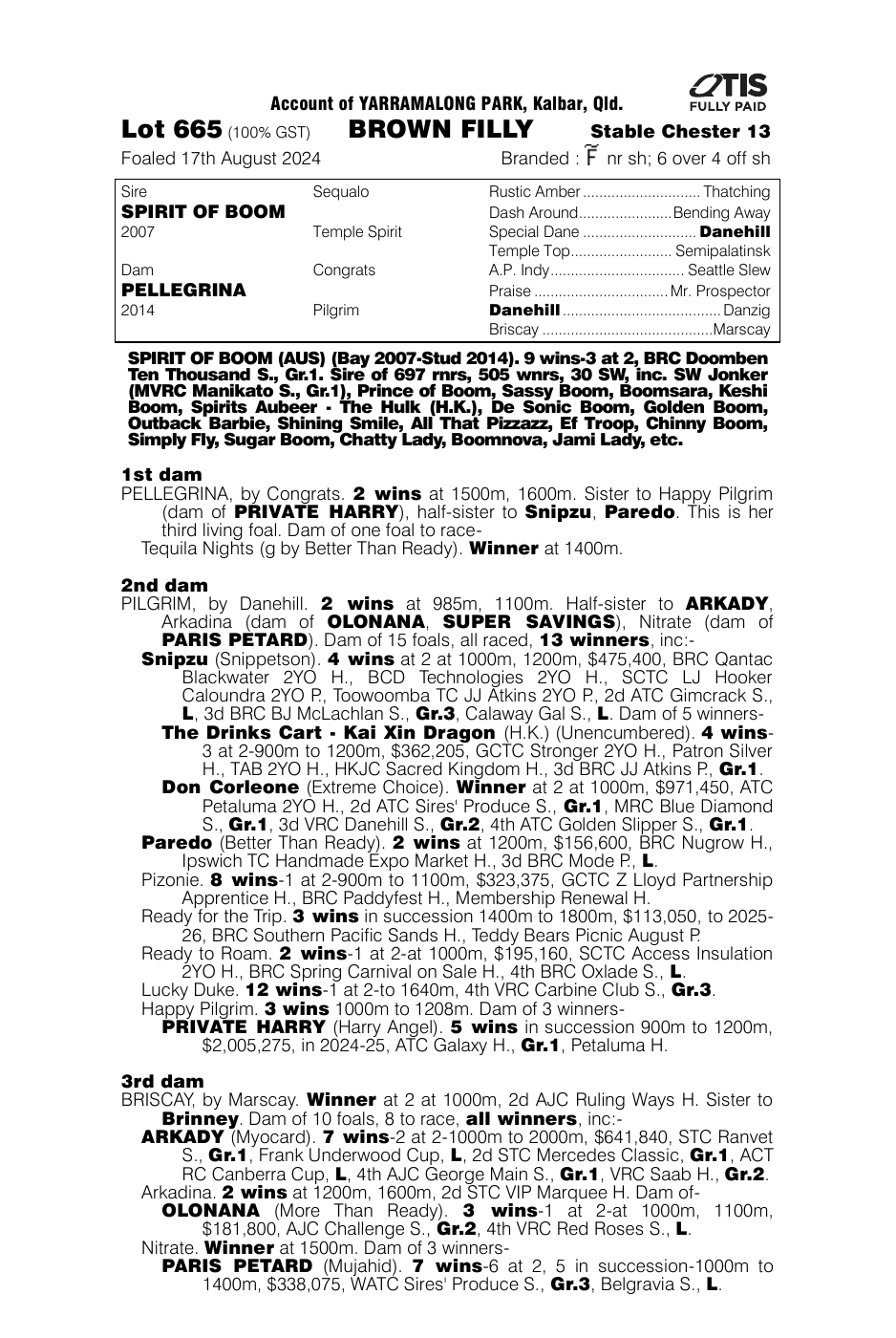 Pedigree - Lot 665