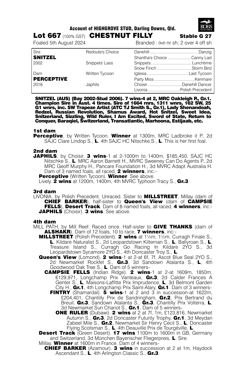 Pedigree - Lot 667