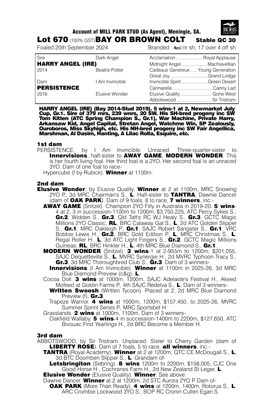 Pedigree - Lot 670