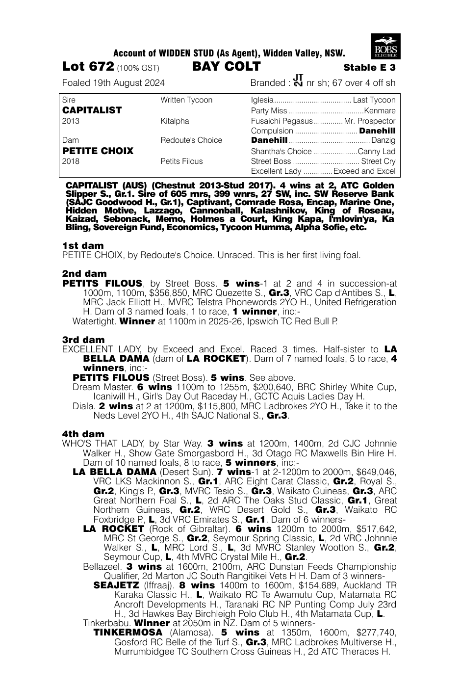 Pedigree - Lot 672