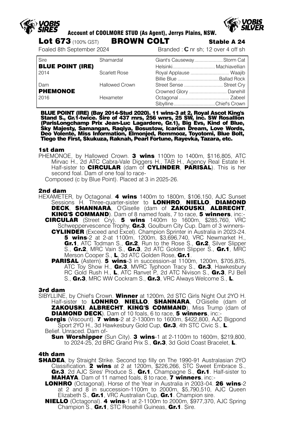 Pedigree - Lot 673
