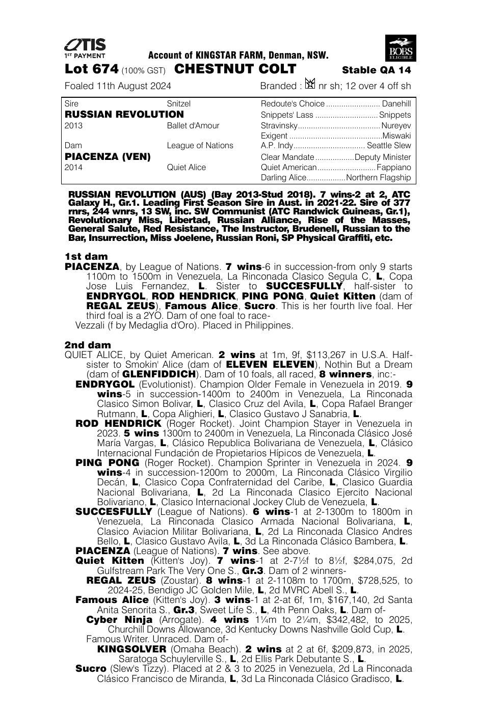 Pedigree - Lot 674