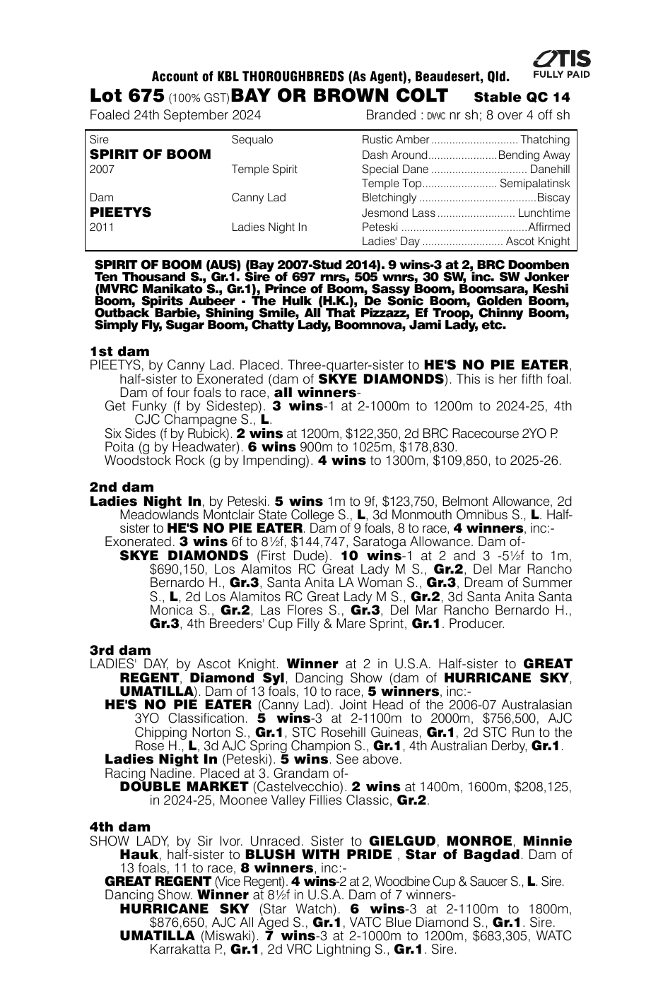 Pedigree - Lot 675