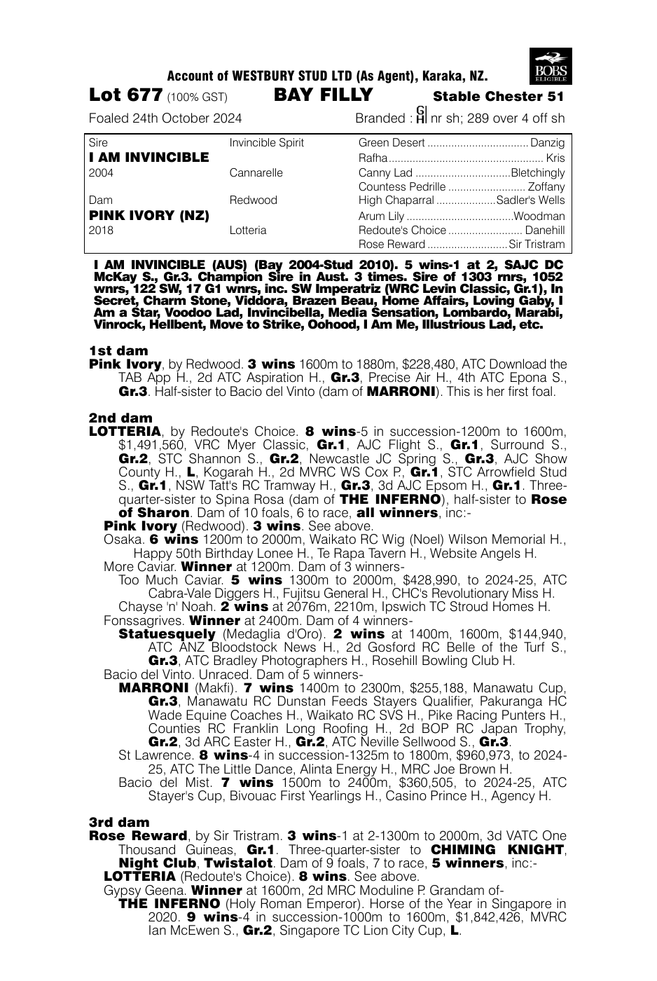 Pedigree - Lot 677