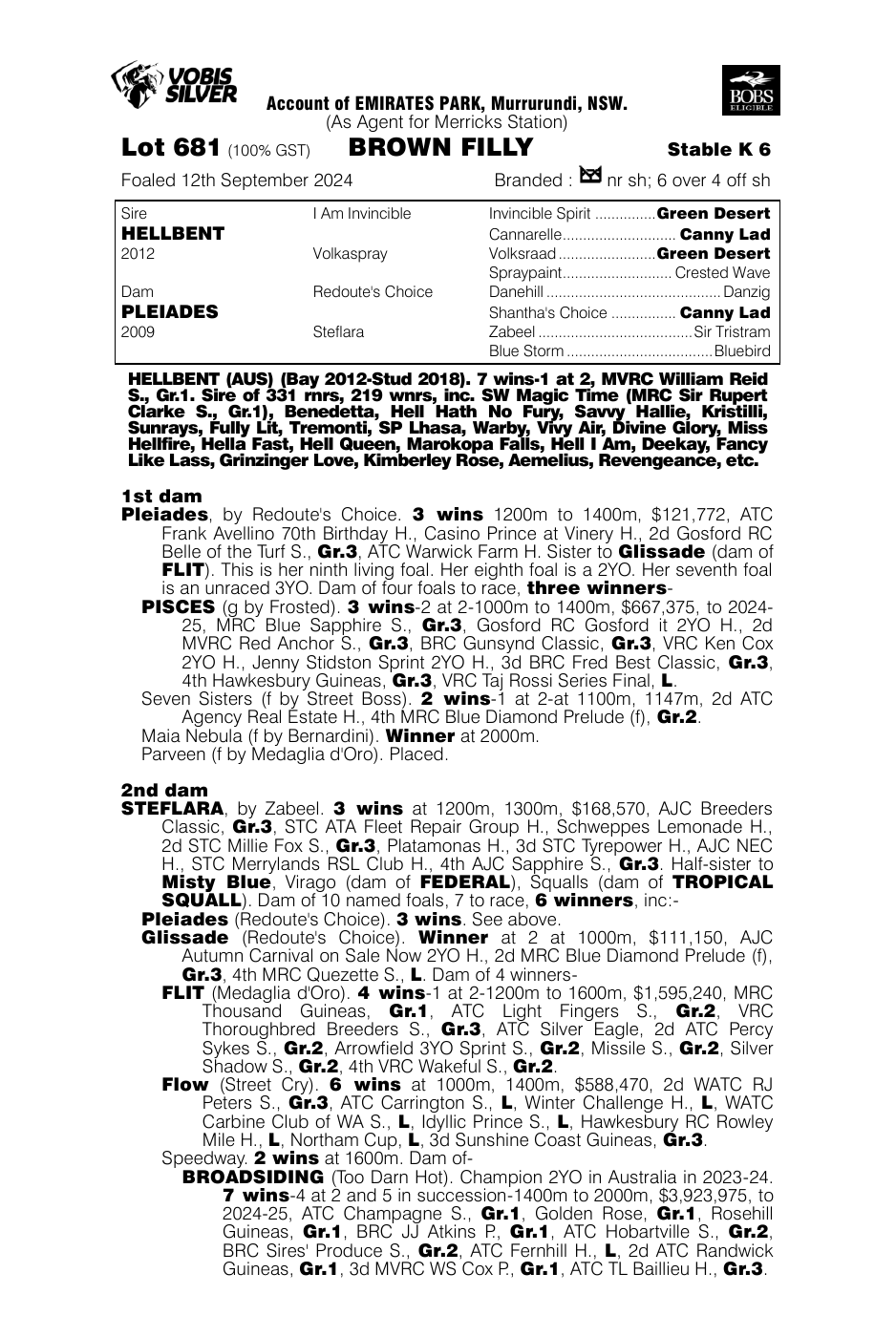 Pedigree - Lot 681