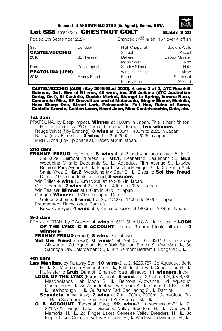 Pedigree - Lot 688