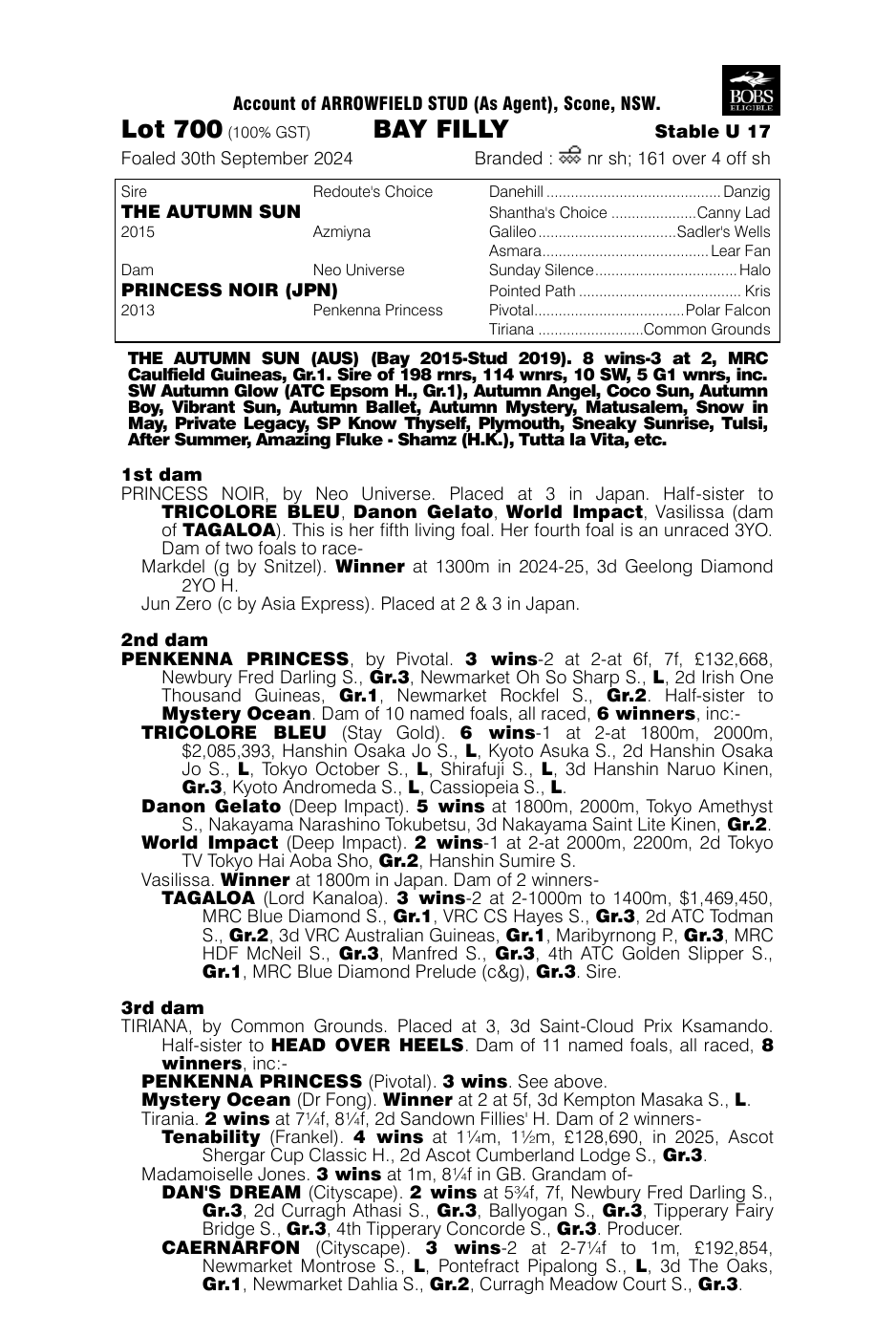 Pedigree - Lot 700