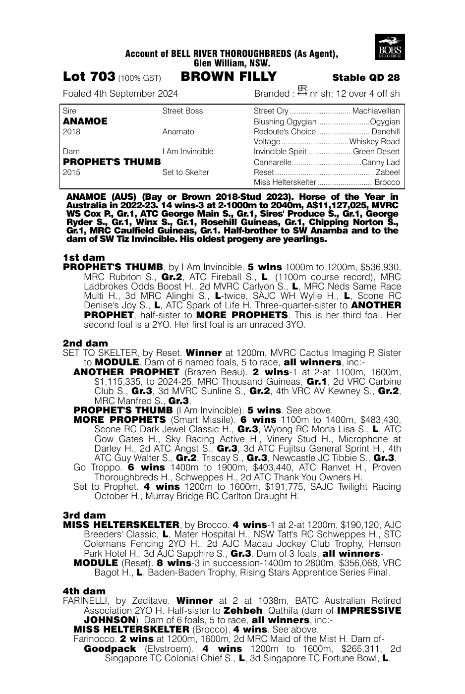 Pedigree - Lot 703