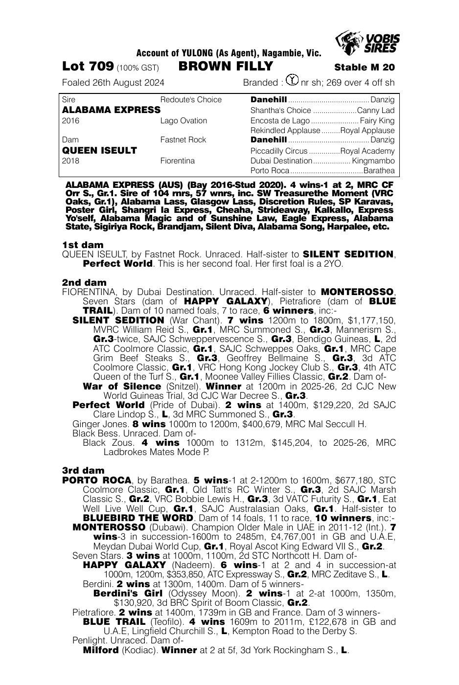 Pedigree - Lot 709