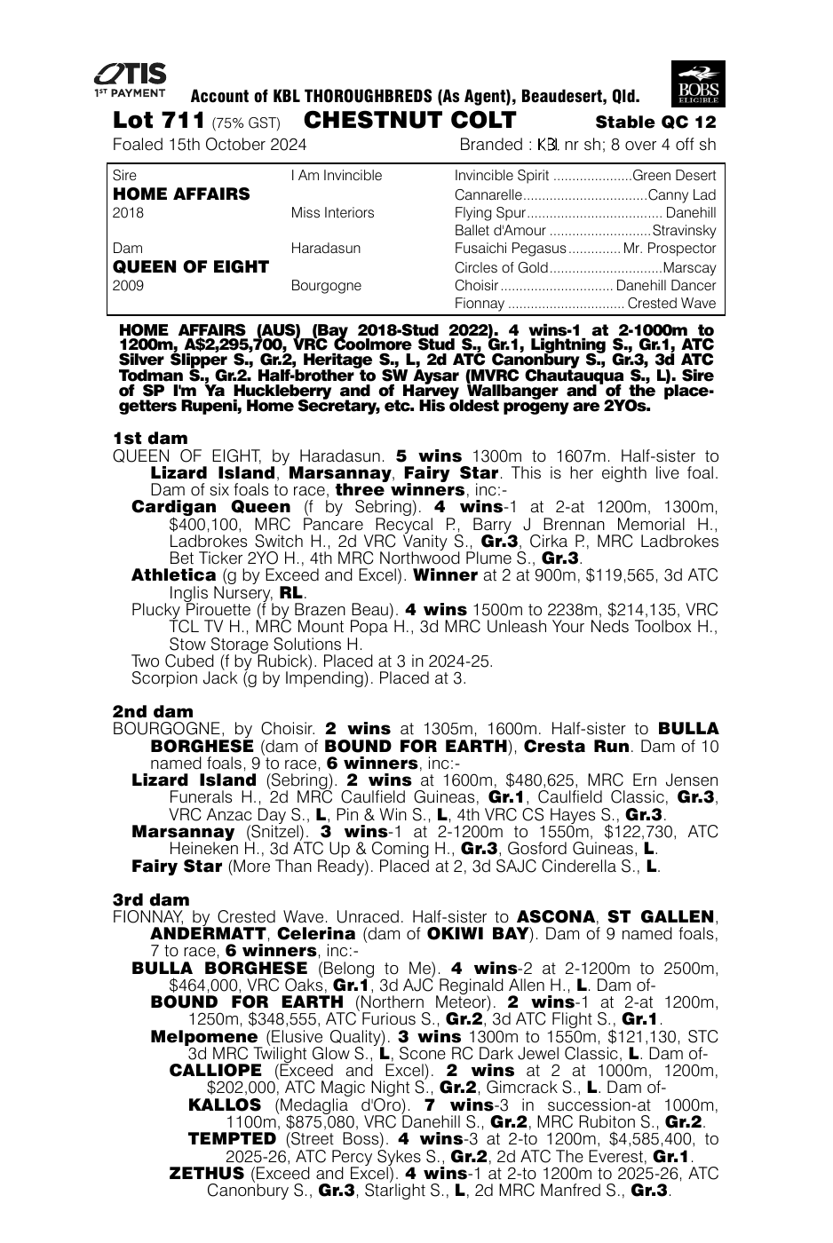 Pedigree - Lot 711