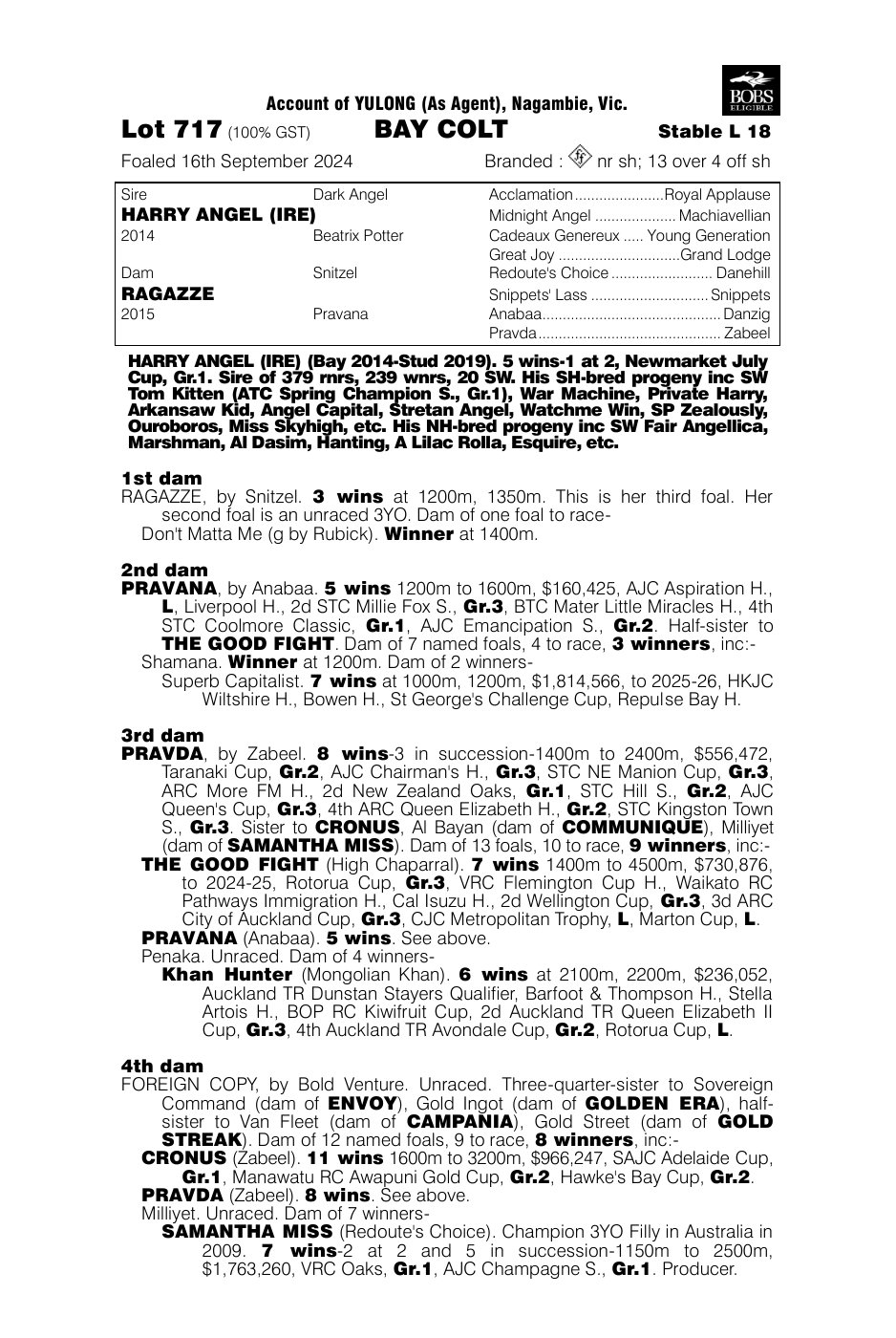 Pedigree - Lot 717