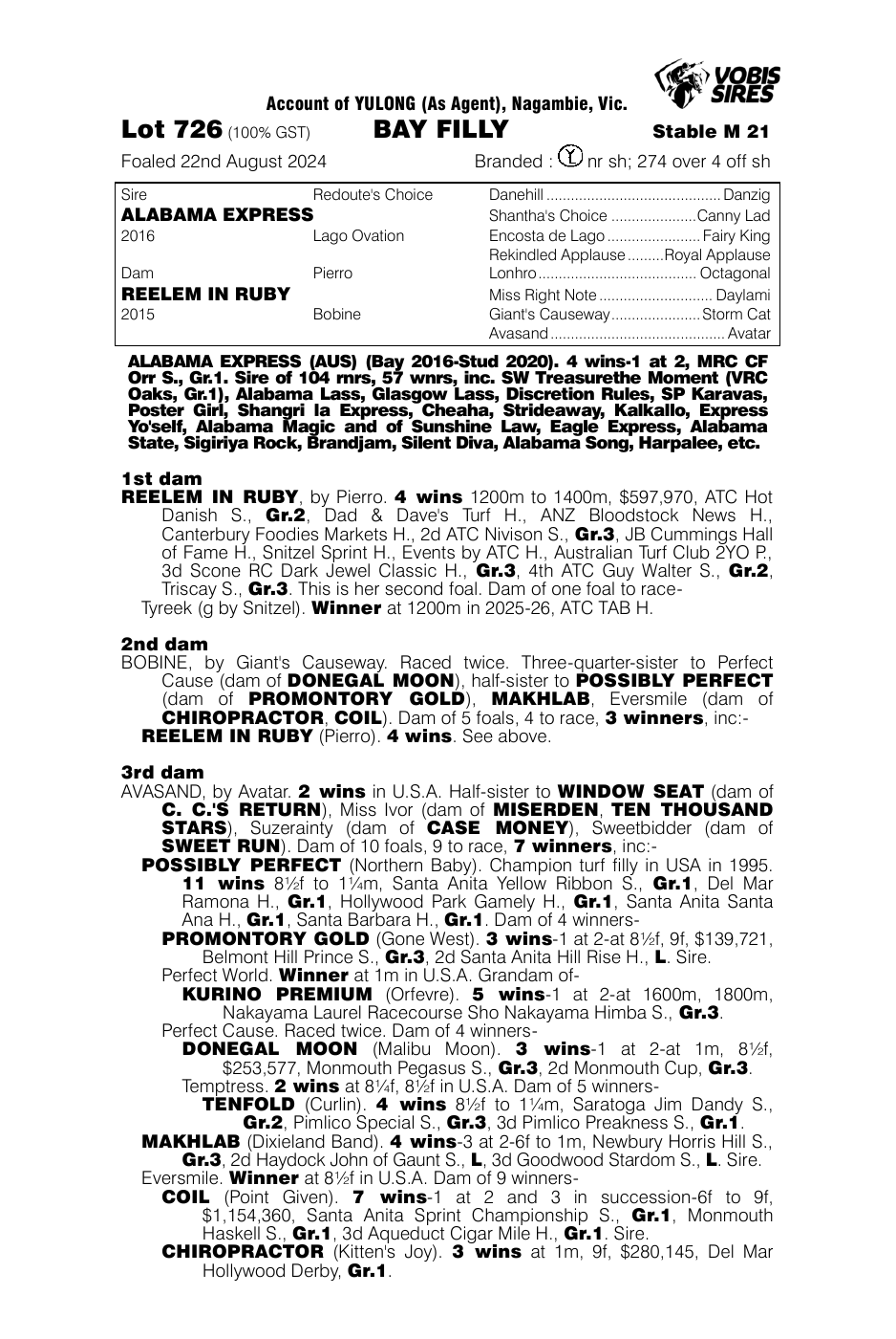 Pedigree - Lot 726