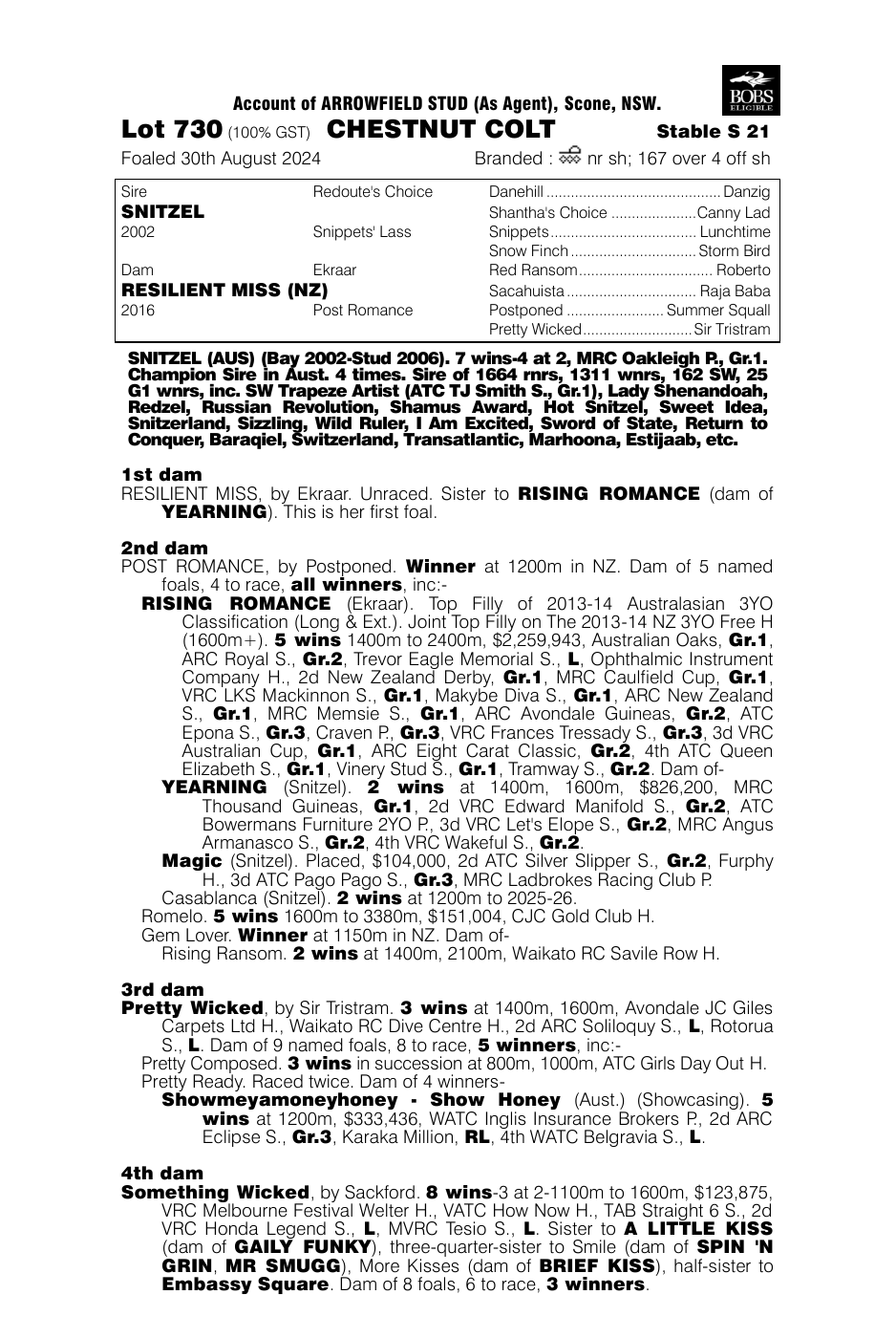 Pedigree - Lot 730