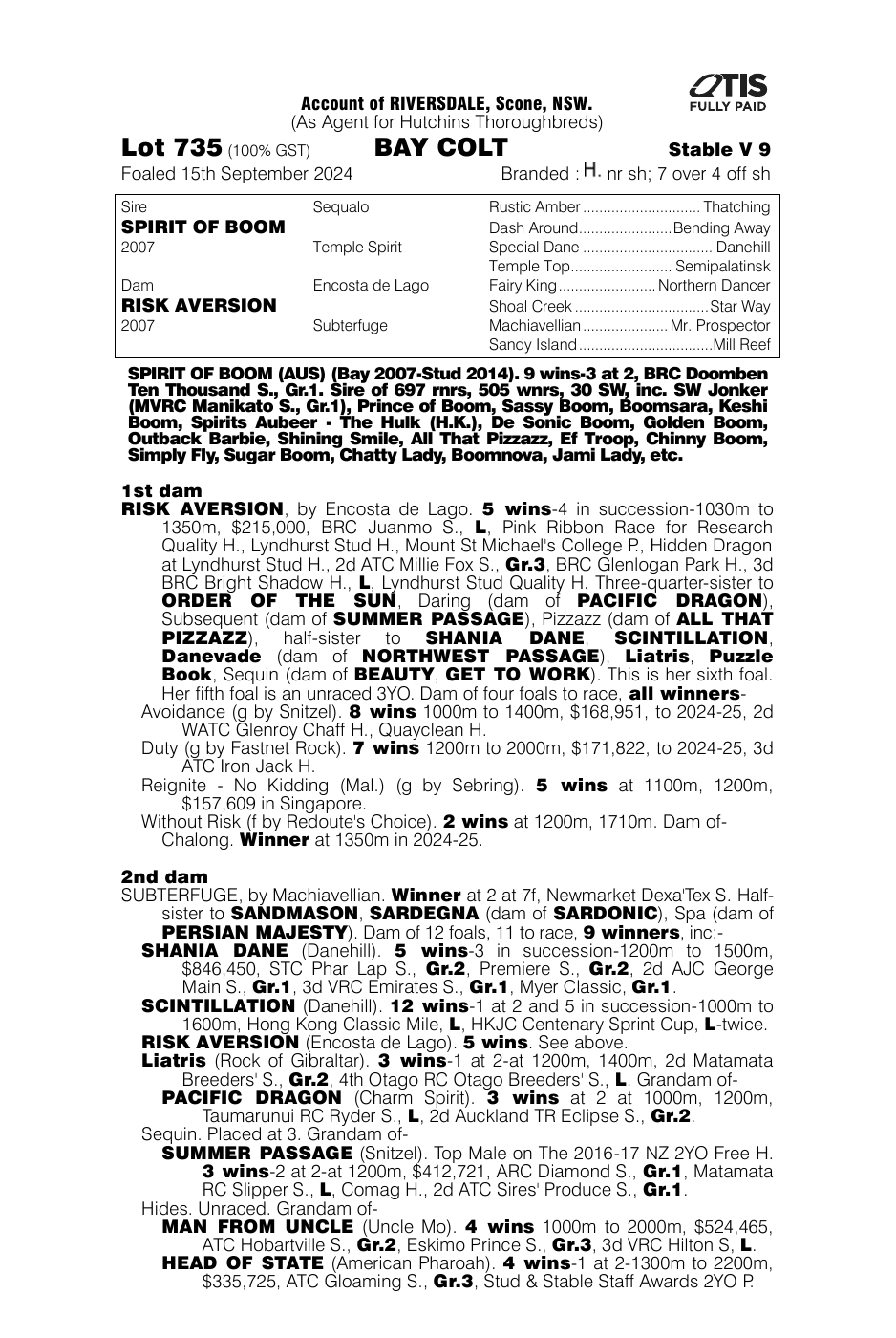 Pedigree - Lot 735