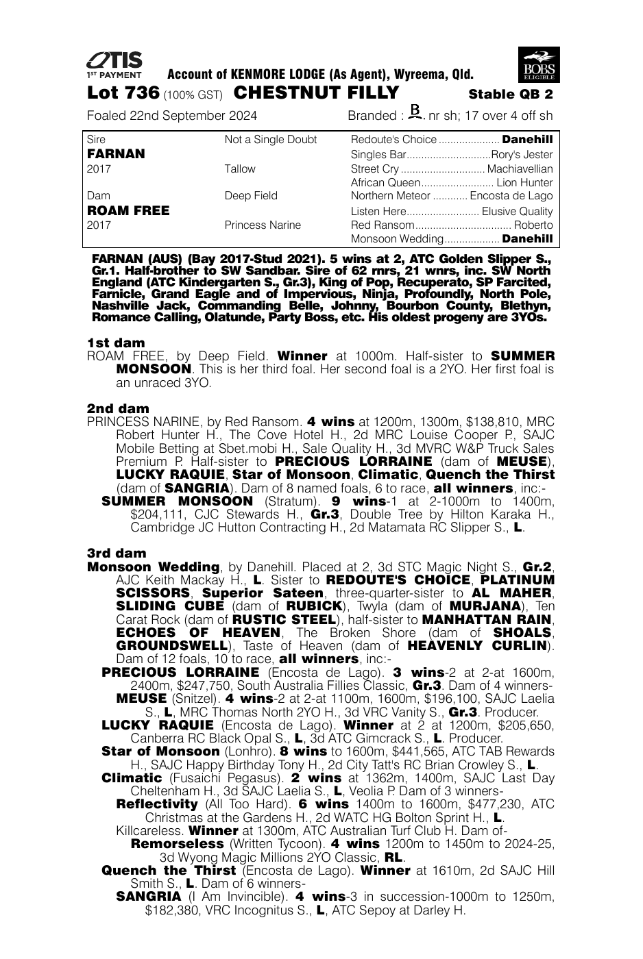 Pedigree - Lot 736