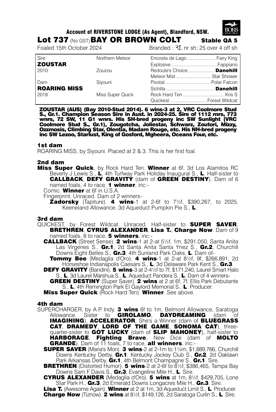 Pedigree - Lot 737