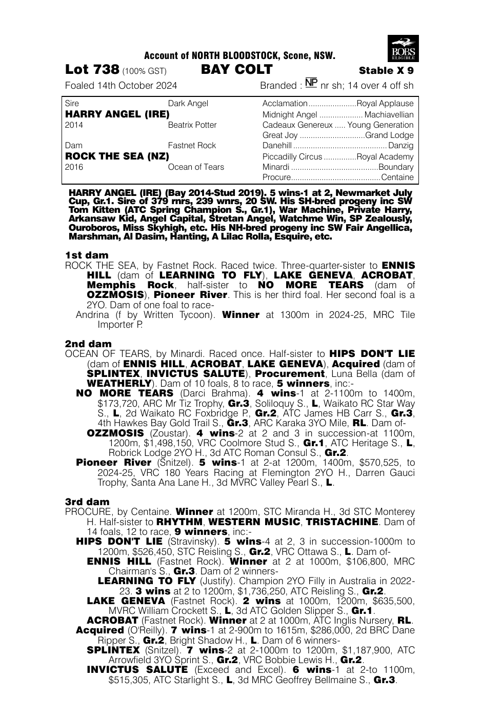 Pedigree - Lot 738