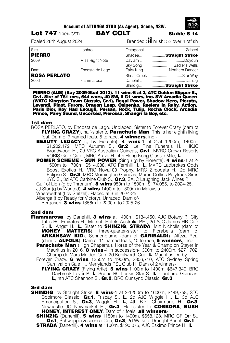 Pedigree - Lot 747