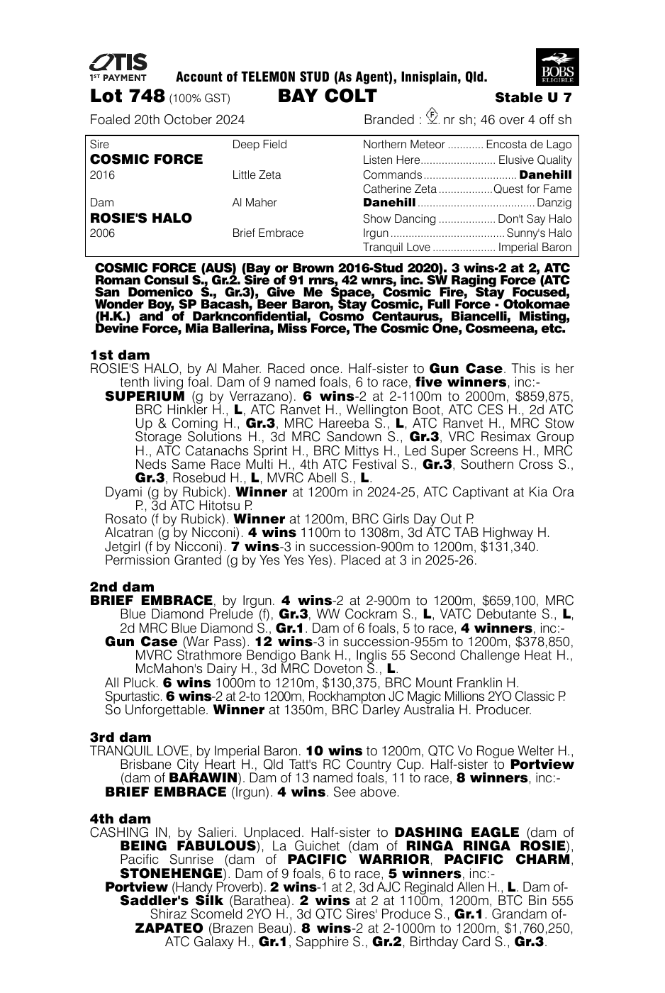 Pedigree - Lot 748
