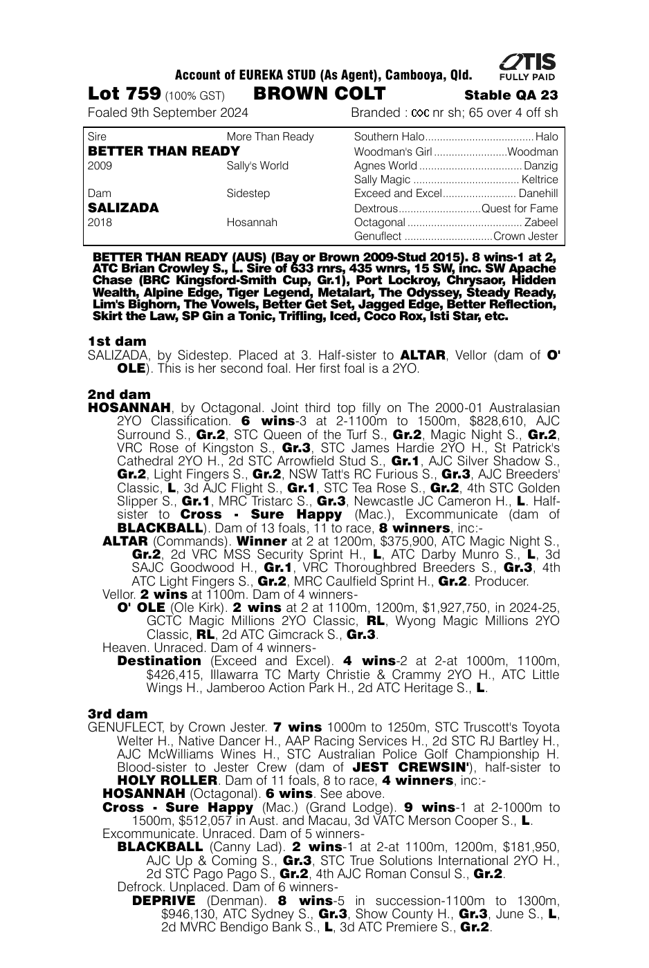 Pedigree - Lot 759