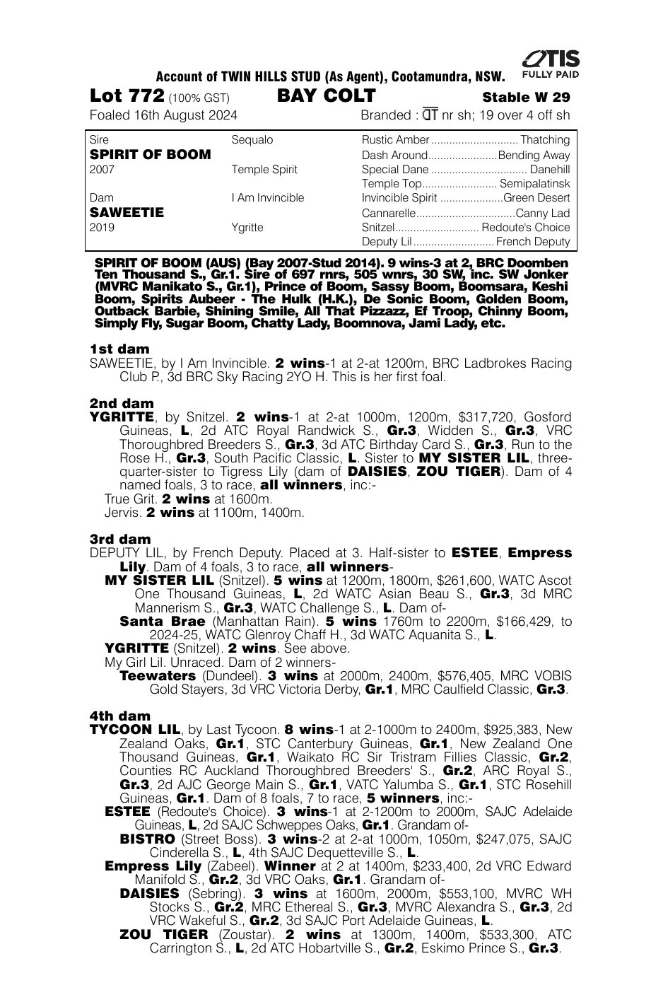 Pedigree - Lot 772