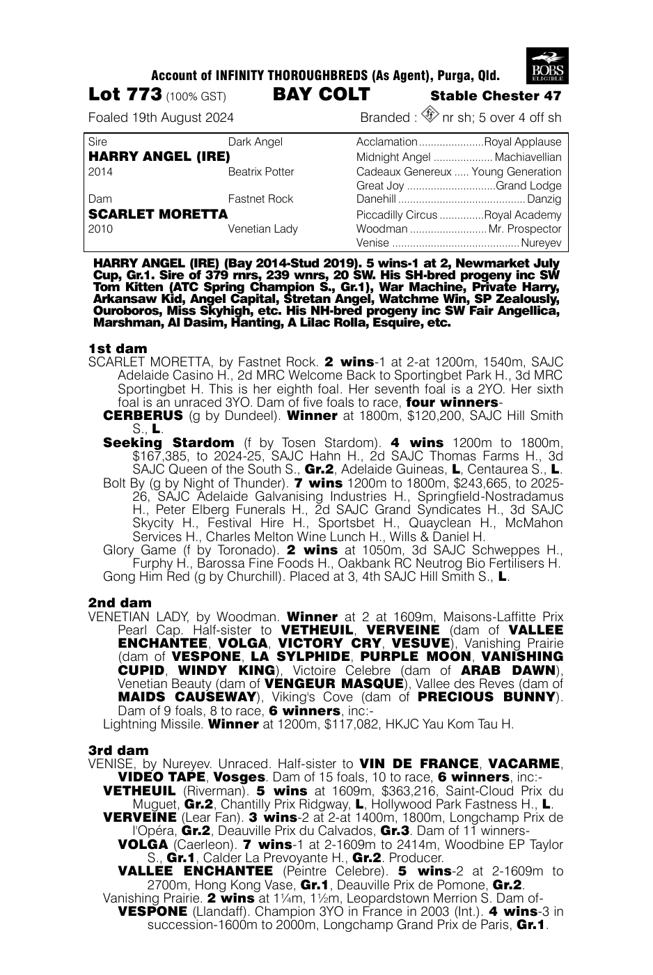 Pedigree - Lot 773