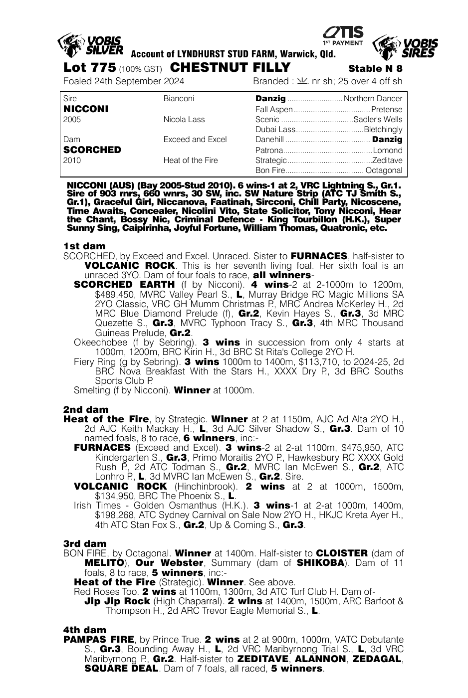 Pedigree - Lot 775