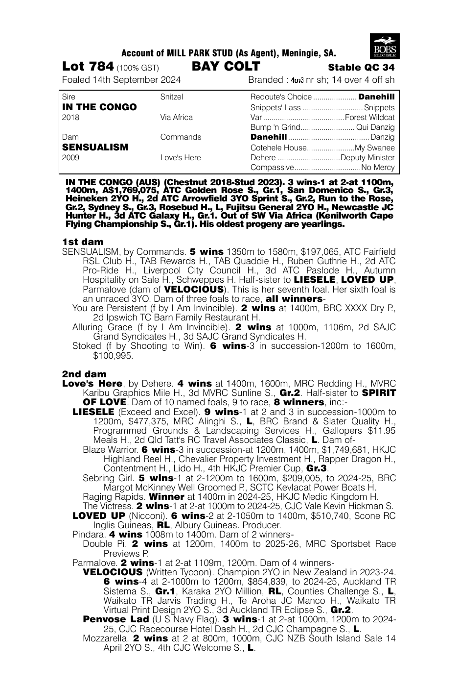 Pedigree - Lot 784