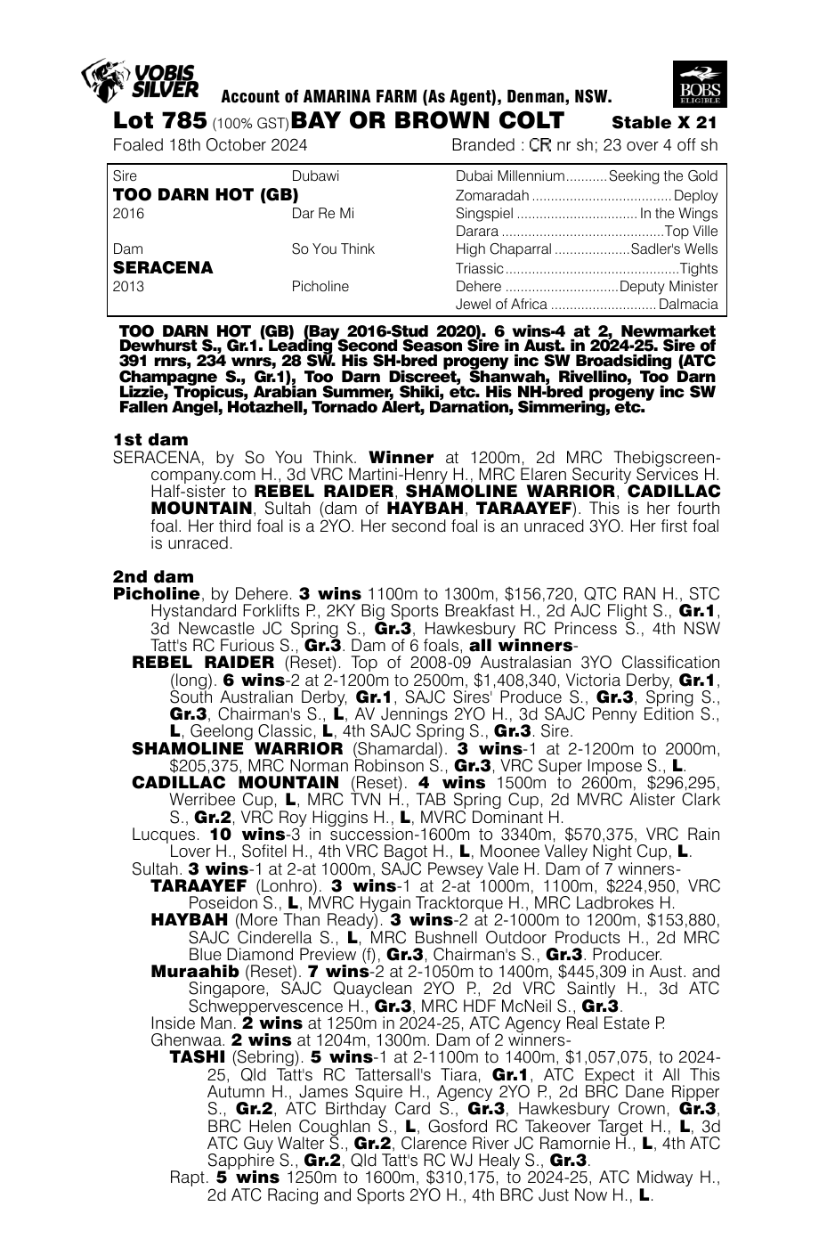 Pedigree - Lot 785