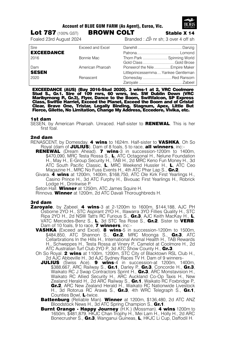 Pedigree - Lot 787