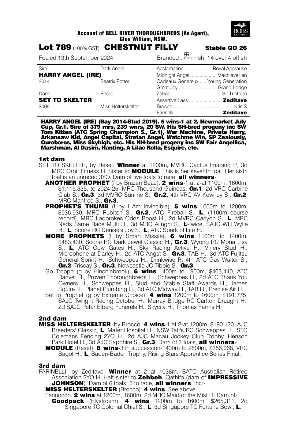 Pedigree - Lot 789