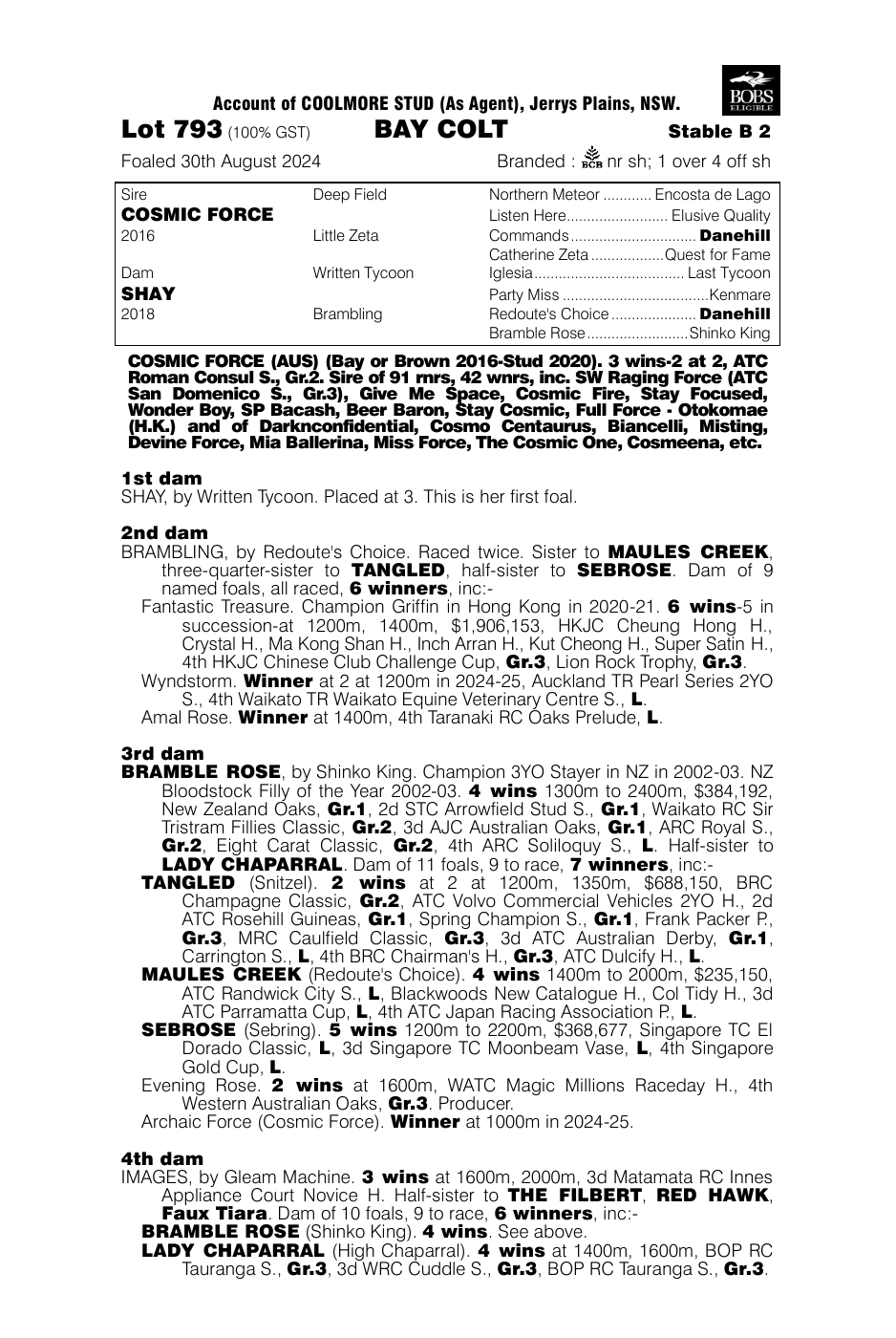Pedigree - Lot 793
