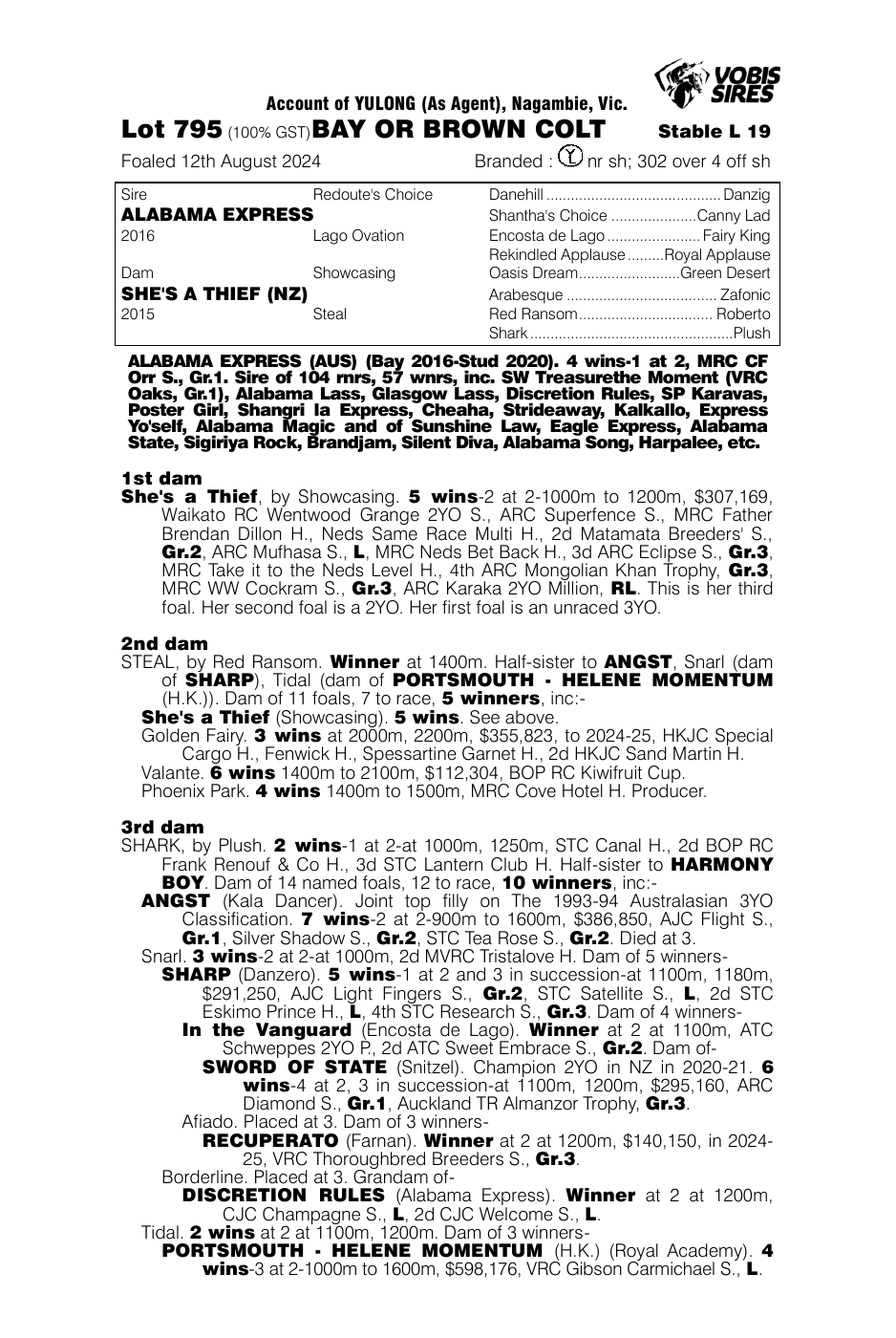 Pedigree - Lot 795