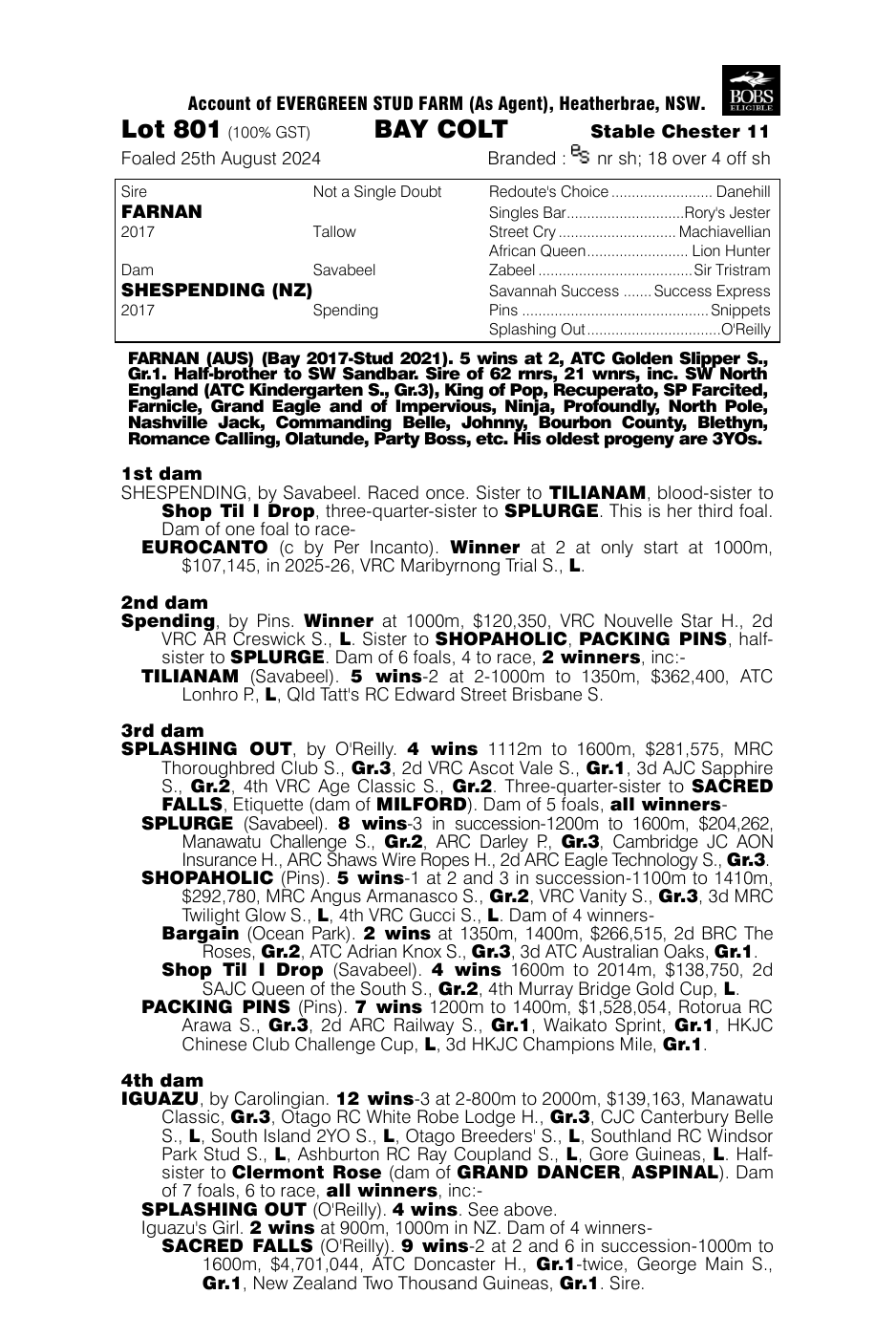 Pedigree - Lot 801