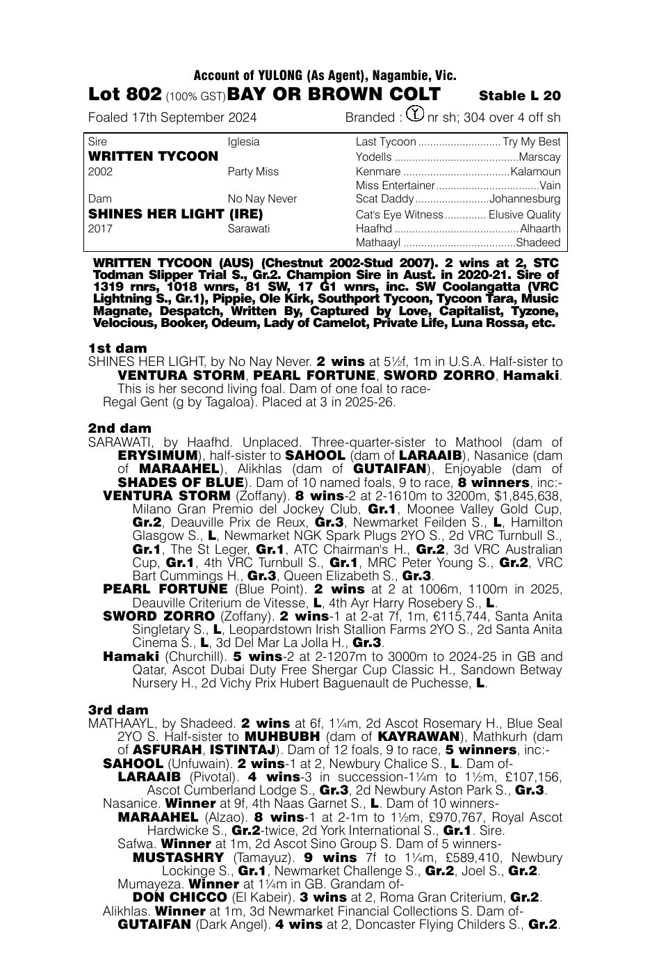 Pedigree - Lot 802