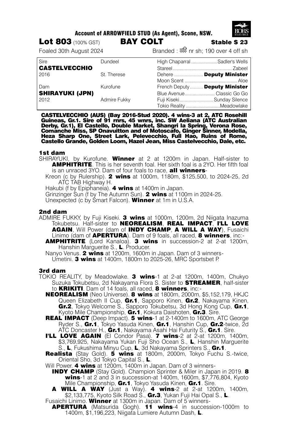 Pedigree - Lot 803