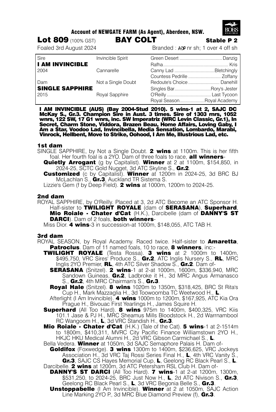 Pedigree - Lot 809