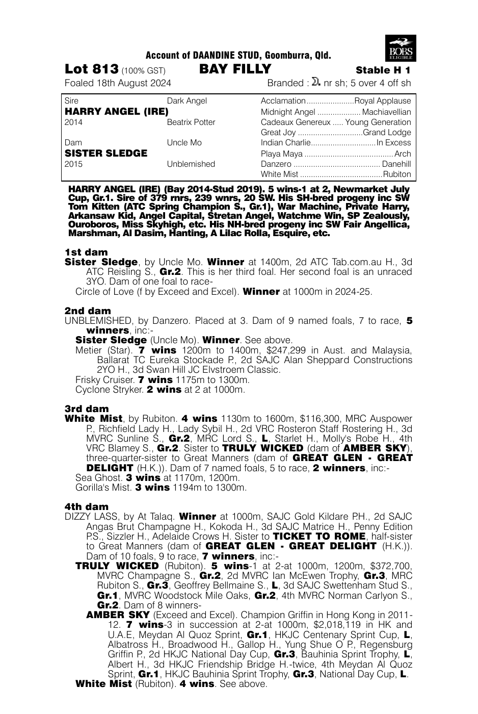 Pedigree - Lot 813