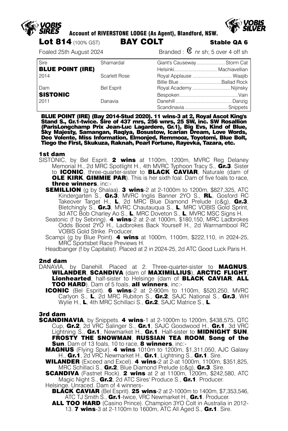 Pedigree - Lot 814