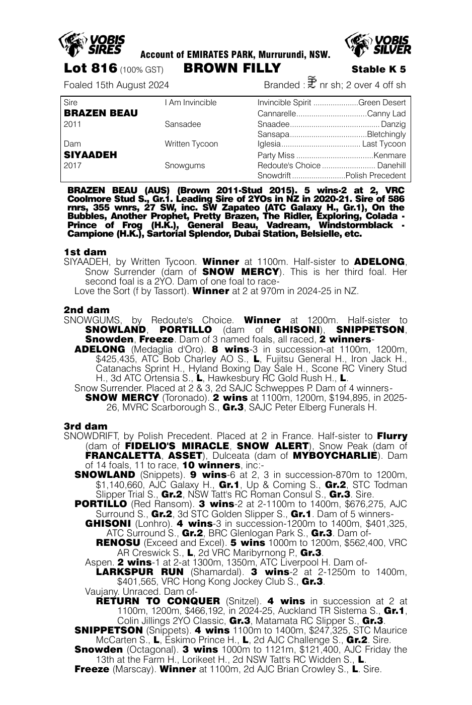 Pedigree - Lot 816