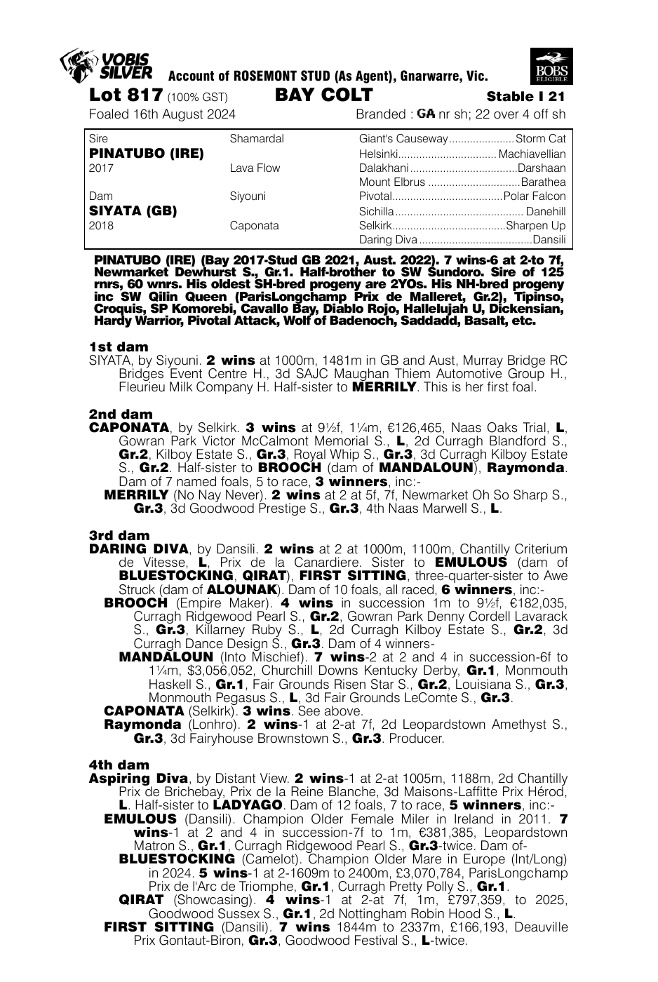 Pedigree - Lot 817