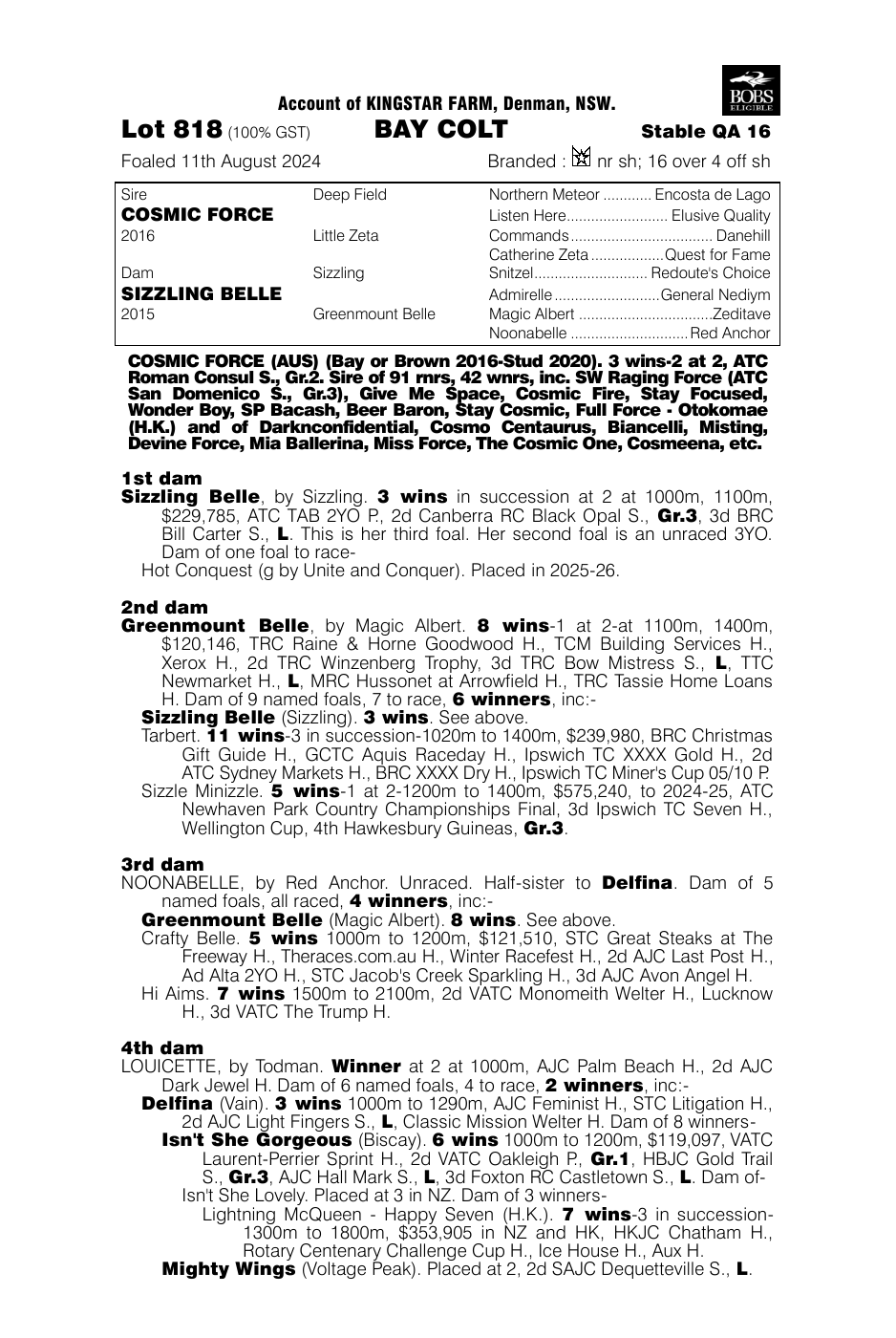 Pedigree - Lot 818