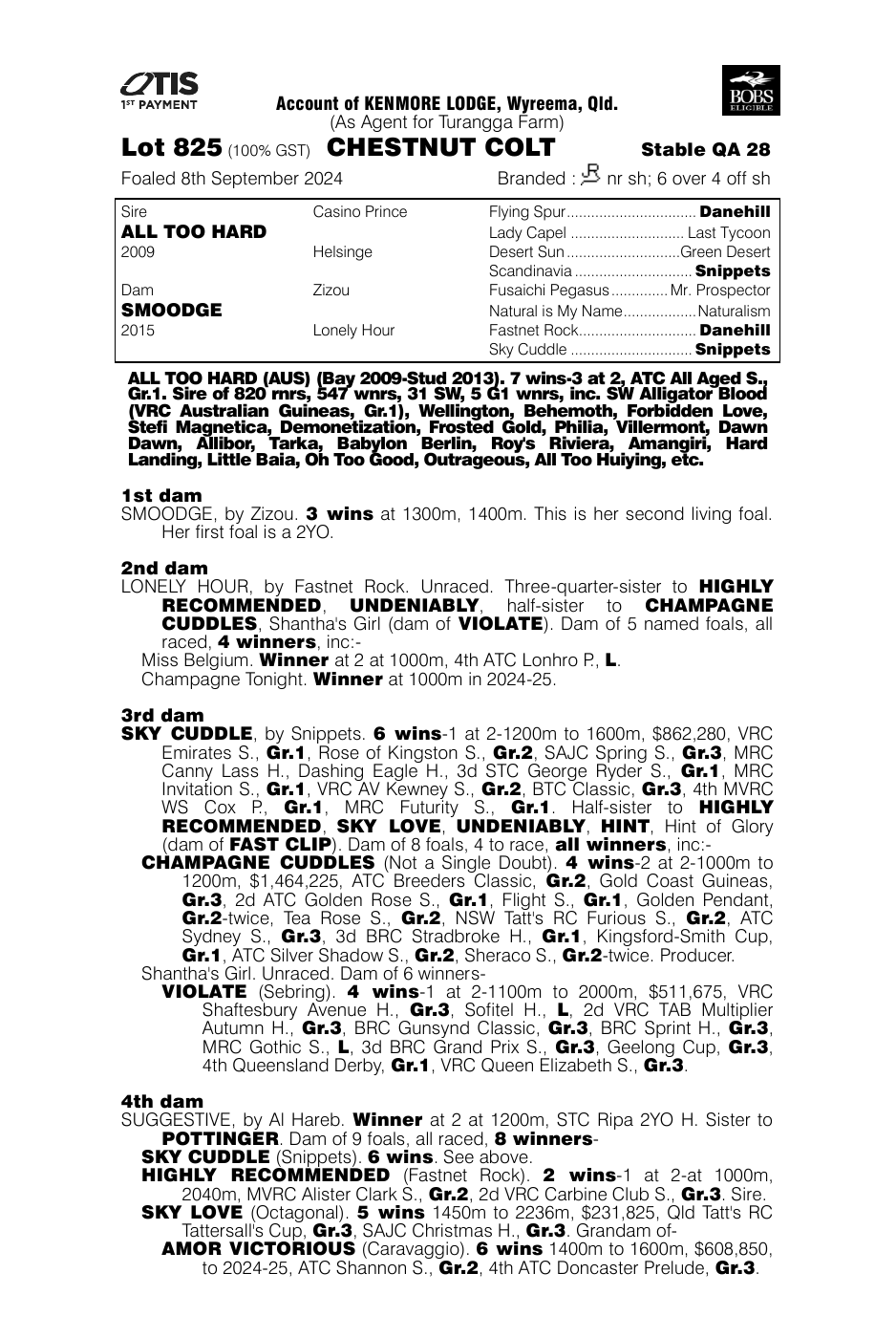 Pedigree - Lot 825