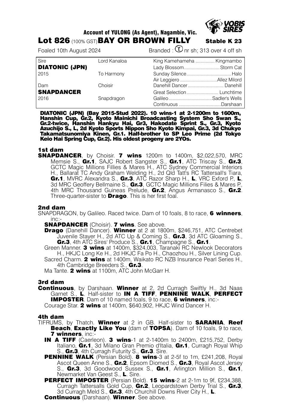Pedigree - Lot 826