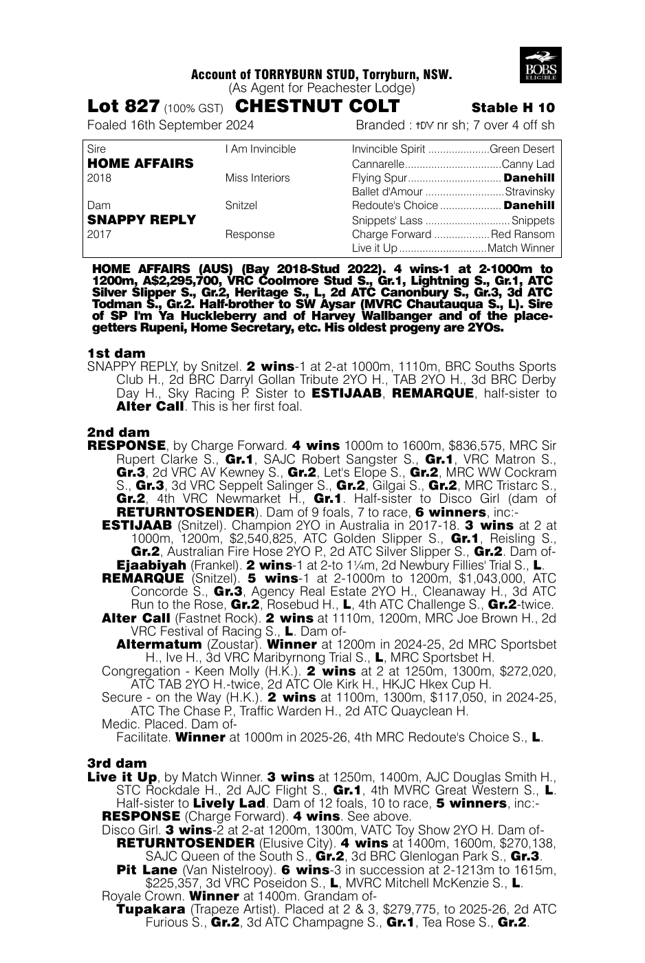 Pedigree - Lot 827