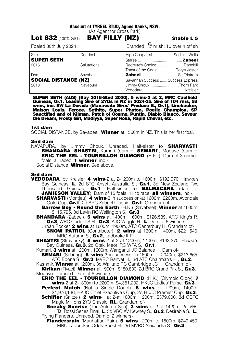 Pedigree - Lot 832
