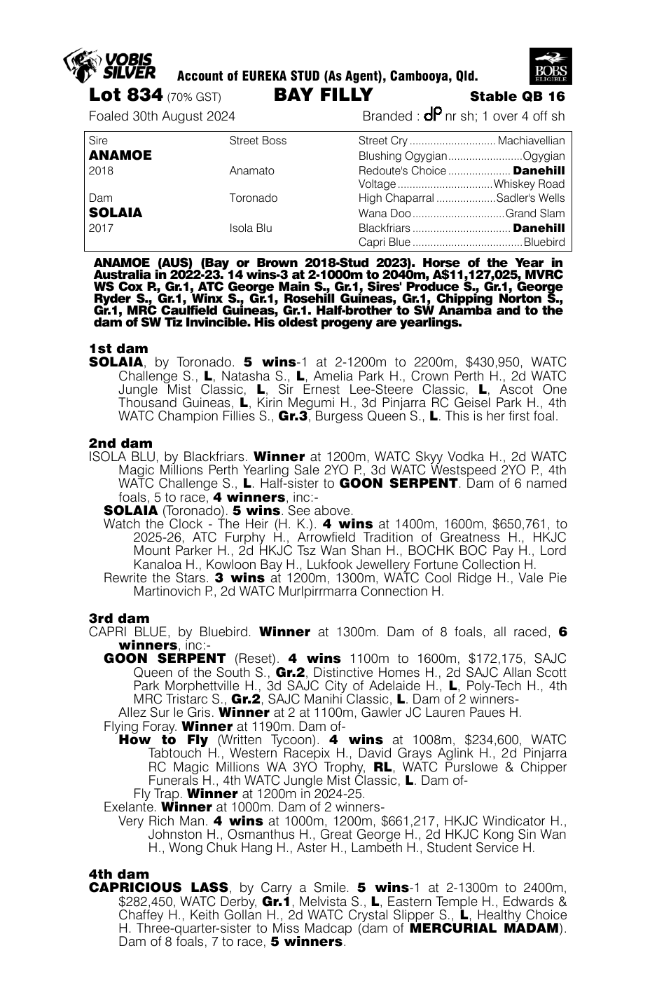 Pedigree - Lot 834