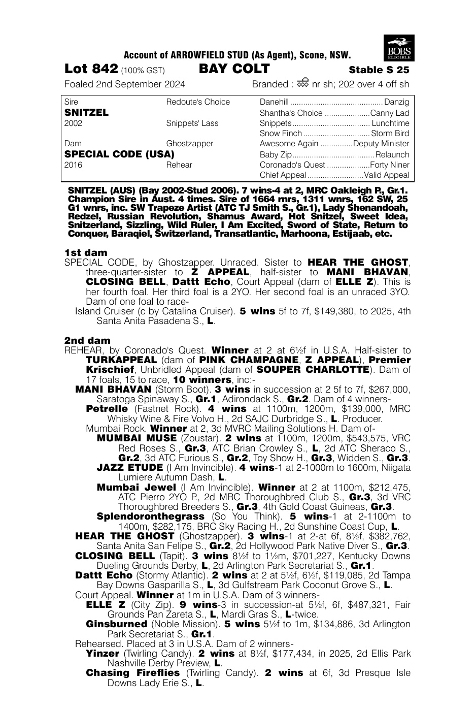 Pedigree - Lot 842