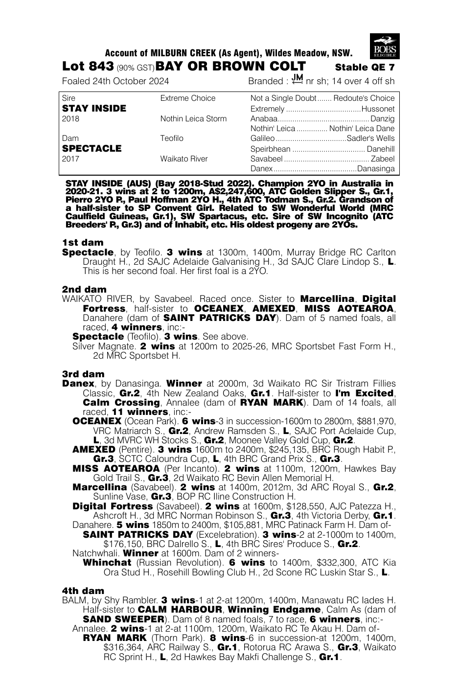 Pedigree - Lot 843
